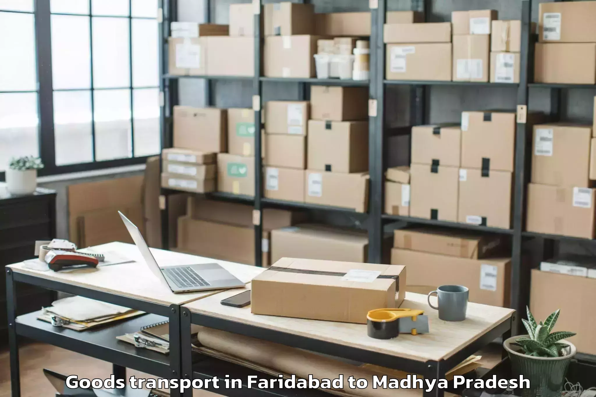 Reliable Faridabad to Raghogarh Goods Transport